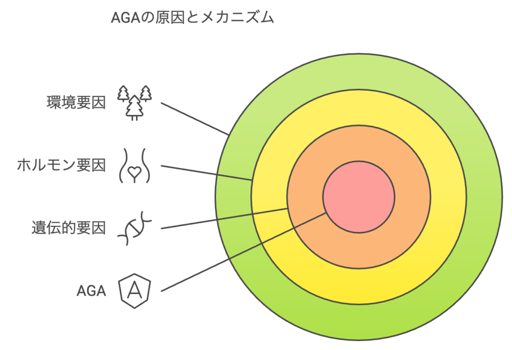 AGAの原因とメカニズム