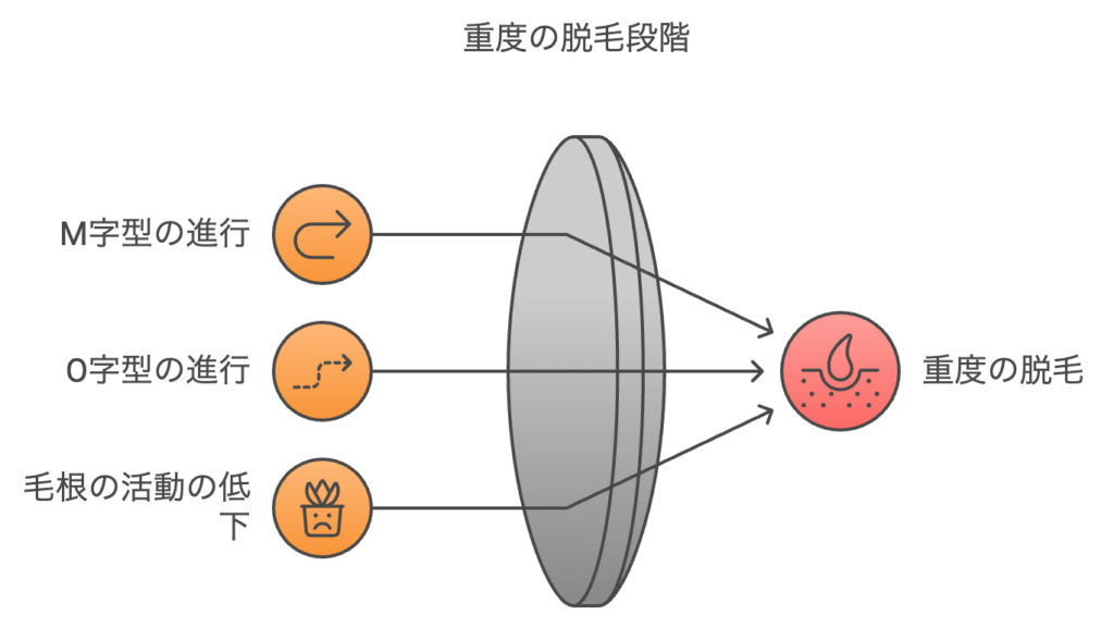 重度の脱毛